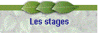Les stages